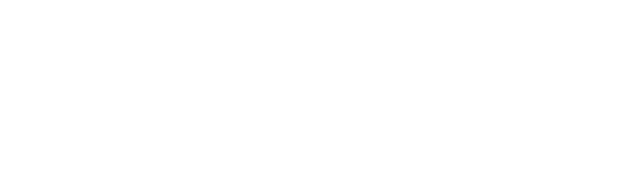 Google Store
