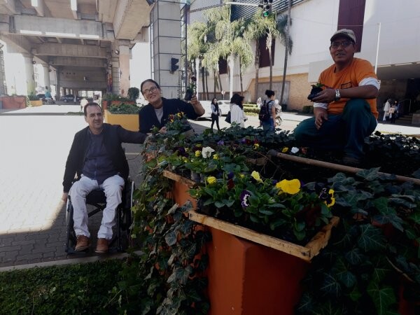 novas-flores-para-colorir-a-praca