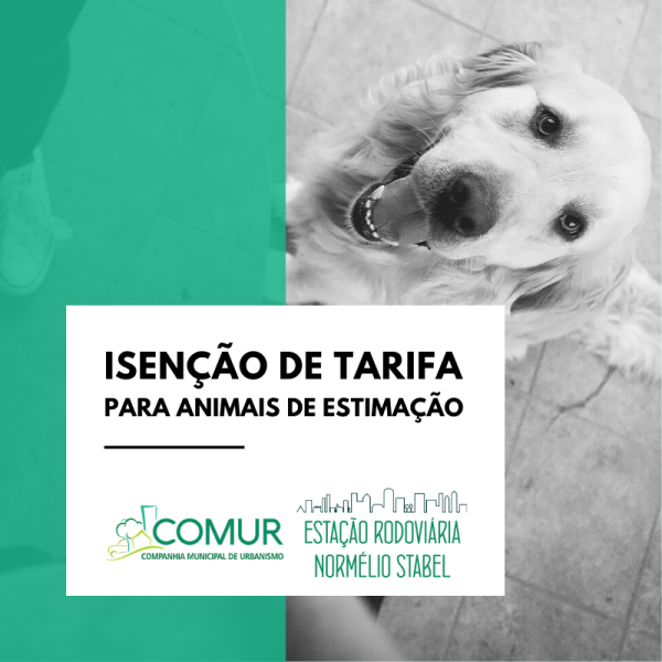 transporte-gratuito-para-animais-de-estimacao-confira