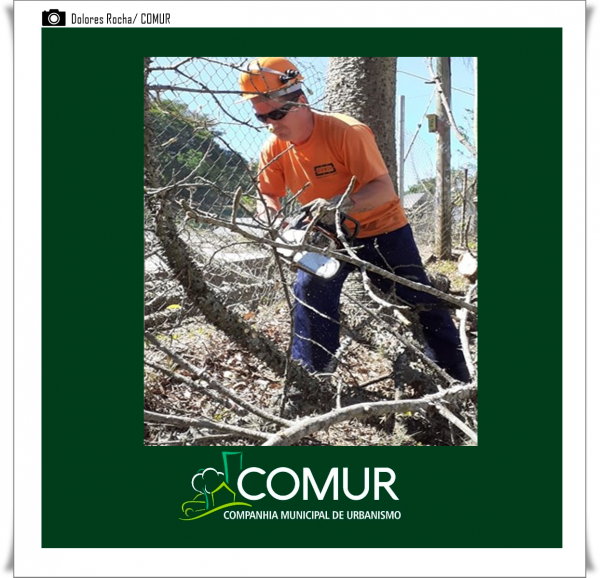 conheca-quem-e-a-comur